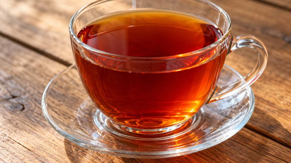 Rooibos